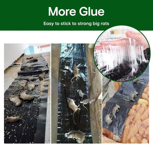 ✨LAST DAY SALE 50% OFF✨Household Mon-woven Strong Trap Sticky Mouse Blanket