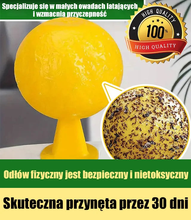 Bezpieczna i skuteczna pułapka na owady