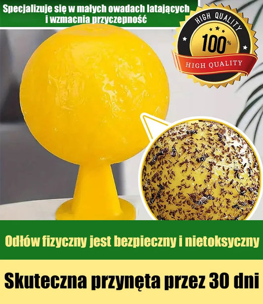Bezpieczna i skuteczna pułapka na owady