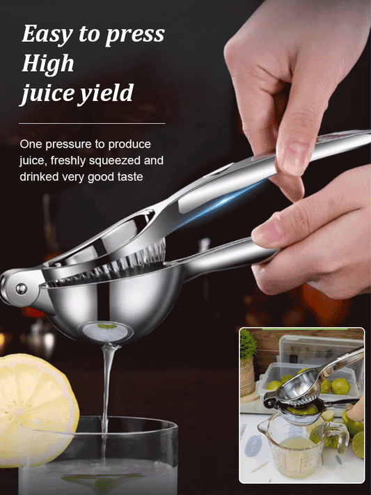 High-quality stainless steel juicer